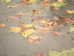 Rain & Windswept Westminster Shots News Clip