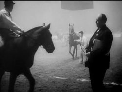 THE QUEEN AT HORSE SHOW News Clip