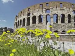 Coliseum at summer in Rome Stock Footage