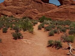 Skyline Arch -- Arches National Park Stock Footage