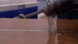 Slimy hagfish are dumped onto a wet surface. Stock Footage