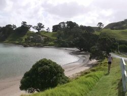 Beach Runner Stock Footage