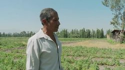 VOICED: Plantaciones flotantes en Mexico News Clip