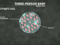 Three Person baby: MP's to vote on legislation News Clip