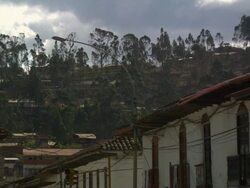 "View of residential area on hill with tall thin trees, from Plaza De La Armas, Chachapoyas, Peru [PerÃƒÂº]" Stock Footage