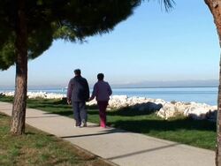 HD: By The Sea Stock Footage