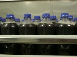 Soda bottles on manufacturing line / soda bottling plant. Stock Footage