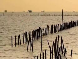 Fish Farm in Thailand. Stock Footage