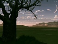 Loneliness Stock Footage