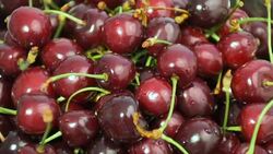 red cherries, close up Stock Footage