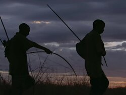 MS PAN LA Silhouetted view of bush people walking across grassland / Limpopo, South Africa Stock Footage