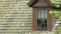 Elkins Park home of Bill Cosby News Clip