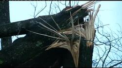 Two killed as storms pound south and midwest of US News Clip