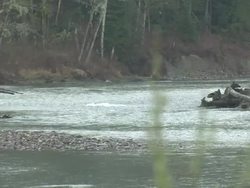 Wilderness stockshots in Washington State News Clip