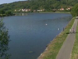 WS View of cyclists near Moselle / Contz-les-Bains, Lorraine, France Stock Footage