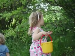 MS PAN Little girl and boy picking berries together with help from their father / Toronto, Ontario, Canada Stock Footage