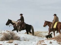 TS Cowboys and cowgirl on horseback riding slowly up a snow-covered ridge as a dog is following along / Shell, Wyoming, United States Stock Footage
