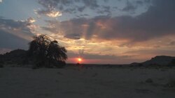 Golden sunbeams filter through purple and orange clouds. Stock Footage
