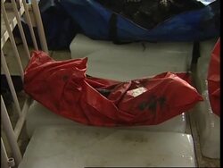 Site, morgue, families, survivors' reax, Foreign Ministry reax News Clip