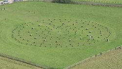 Woodhenge Aerials News Clip