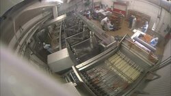 A machine drops frankfurters onto a conveyor. Stock Footage