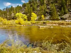 River panning Stock Footage