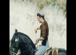 RR7720A PORTUGUESE BULLFIGHTING Instructional Video