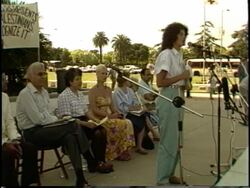Israel, Arab Unity Rally Stock Footage