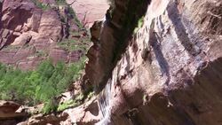 overhanging waterfall against red sandstone and in Zion canyon Utah Stock Footage