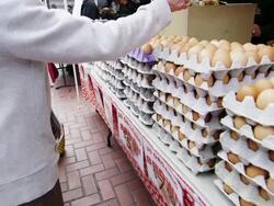 Fresh eggs in an open market Stock Footage