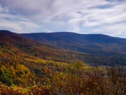 Fall foliage Stock Footage