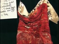 UPDATE Spring/Summer 2007 collection from Brazilian designer Carlos Miele News Clip