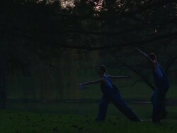 camera pan of two dancers dancing in nature Stock Footage