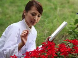 MS Woman inspecting plants / Shibuya, Tokyo, Japan  Stock Footage