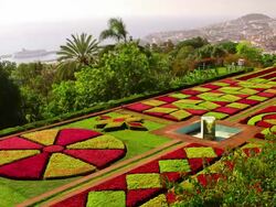 Botanical Gardens Stock Footage
