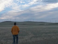 Man and dog walk into field, wind turbines spin above Stock Footage