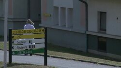 CLEAN : Probe after GM jellyfish lamb sold as meat in France News Clip