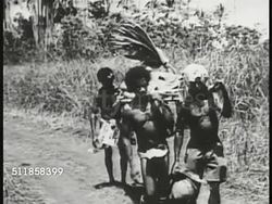 1942: NEW GUINEA: WS Jungle open huts w/ indigenous people carrying stretcher in the rain. MS TRACKING Native indigenous peoples carrying wounded soldier on stretcher.  Pacific Campaign, Pacific Front, WWII, World War II. Instructional Video