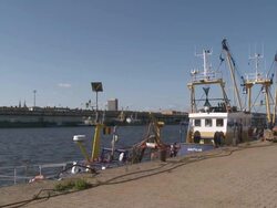MS Fishing boats in harbor / Ostend, Flanders, Belgium Stock Footage