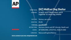 Israelis and Palestinians work together to save dog shelter  News Clip