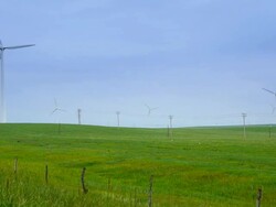 Windmills in grassland Stock Footage