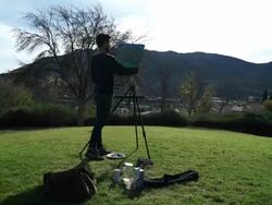 Finished Painting Stock Footage