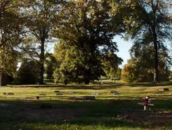 News Report Offers New Details Of Encounter Between Michael Brown And Ferguson Cop Stock Footage