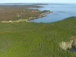 WS ARIEAL DS View of Wooded area at Island / Maine, United States Stock Footage