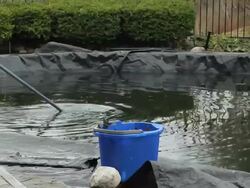 Swimming pool Stock Footage