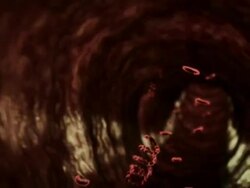 Medium Long Shot push-in push-out - Spiral parasites travel through blood vessels in a computer-generated animation. Stock Footage