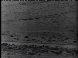 LIBYA - ALL SERVICES CO-OPERATE IN CONSOLIDATION - News Clip