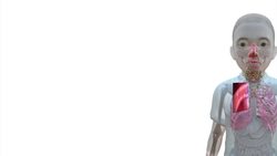 Whooping cough cases worst in half century Instructional Video