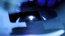 Scientist and bio lab experiment, Slow motion Stock Footage