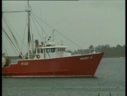 EF 611A - USA: OVERFISHING News Clip